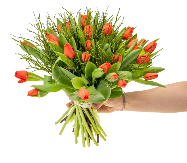 Bouquet of red tulips